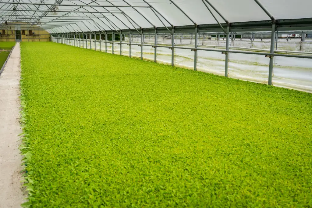 东莞电商物流包装材料选择指南：气泡膜与珍珠棉应用场景分析