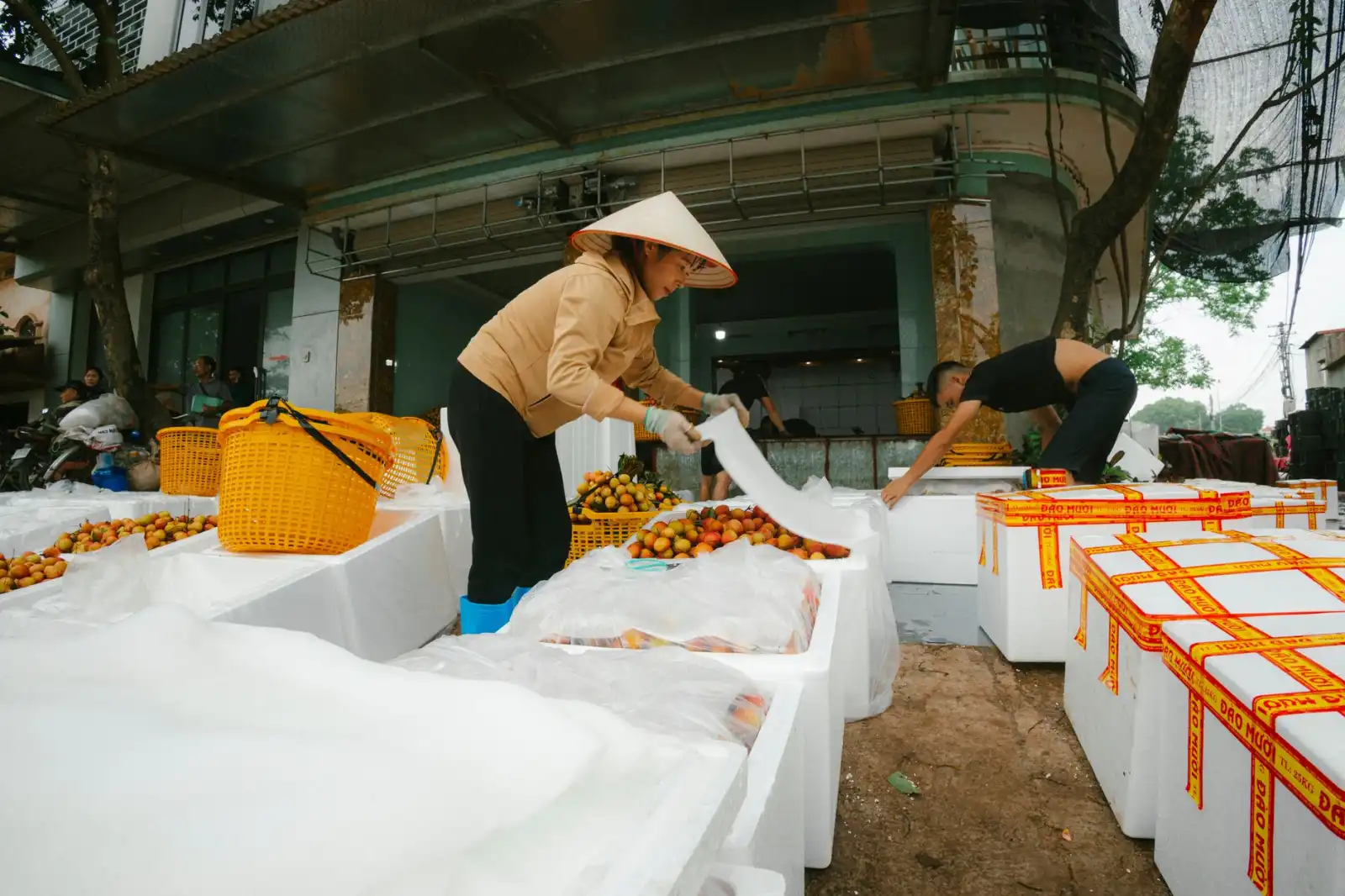 珍珠棉与气泡膜在电子产品缓冲包装中的应用场景与选型建议
